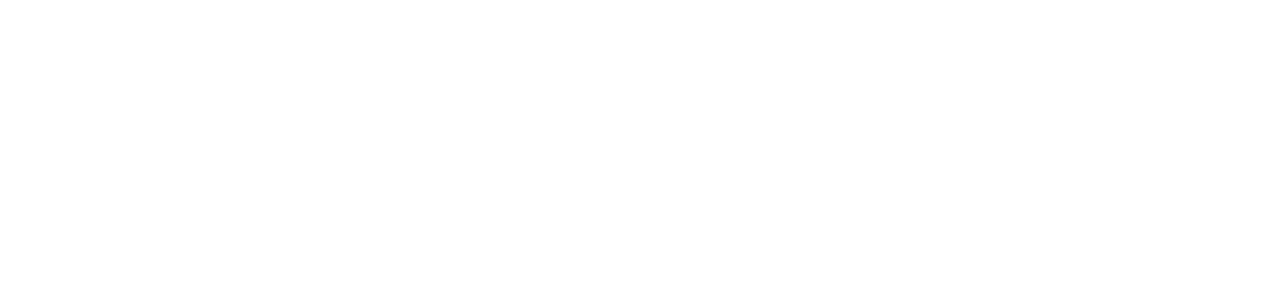 Vsroplus